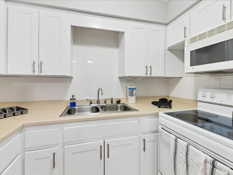 Appartamento Designed And Cozy 1Br With Parking Near Stores Tampa Esterno foto